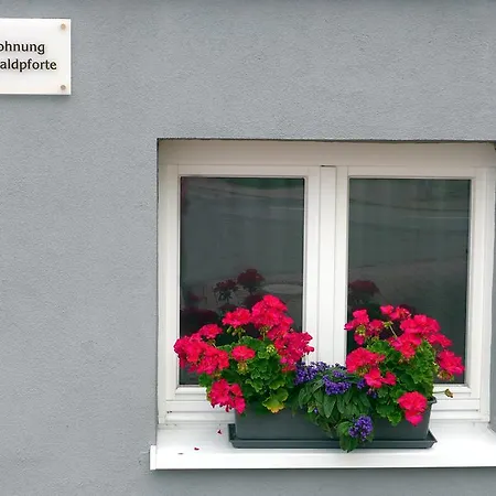 Appartamento Schwarzwaldpforte *